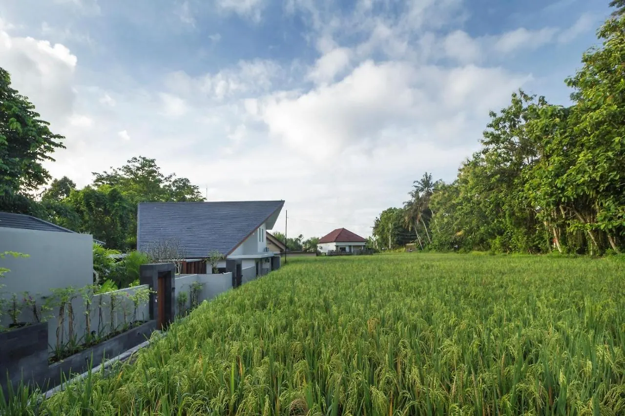 Villa Kingfisher 2 Ubud  Indonesia